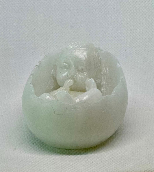 Baby in shell