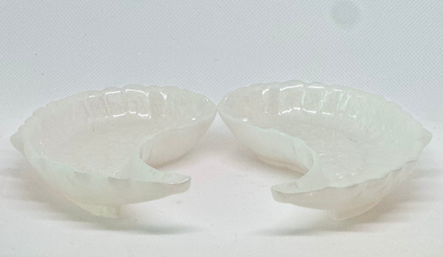 Set of wings