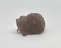 Hedgehog